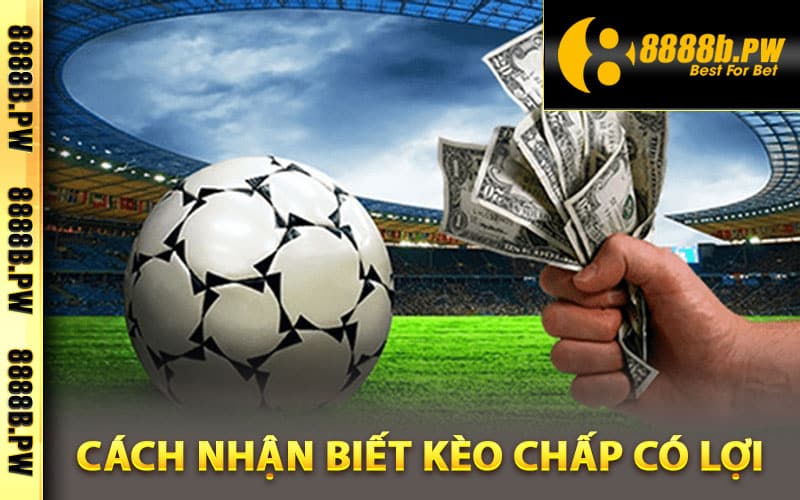 Cách nhận biết kèo chấp có lợi